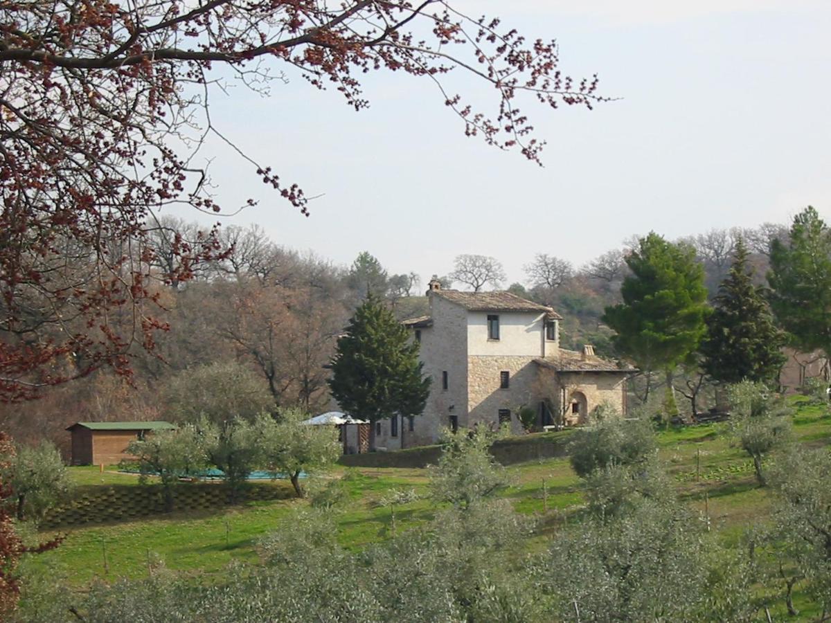Girasole - Agriturismo Fogliani Giano dellʼUmbria Esterno foto